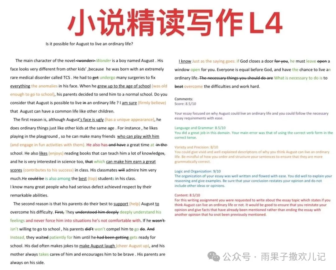 作文批改反馈