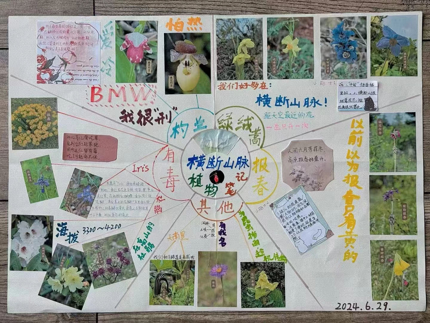 横断山脉生态行